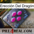 Erección Del Dragón 02